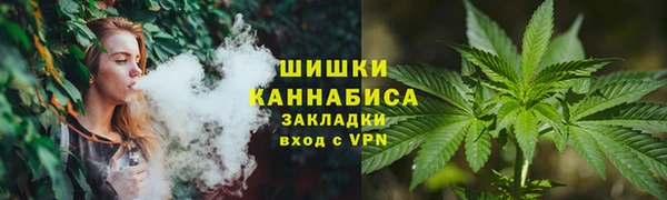 дмт Каменногорск